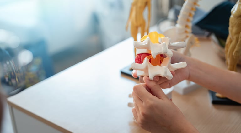 Medical healthcare diagnosis doctor patient consultation spine model held by hand during orthopedic consultation for back pain treatment education and anatomy explanation in modern clinic setting